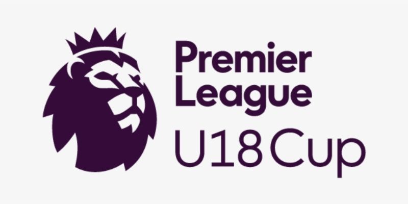 Giới thiệu chung về giải đấu U18 Premier League